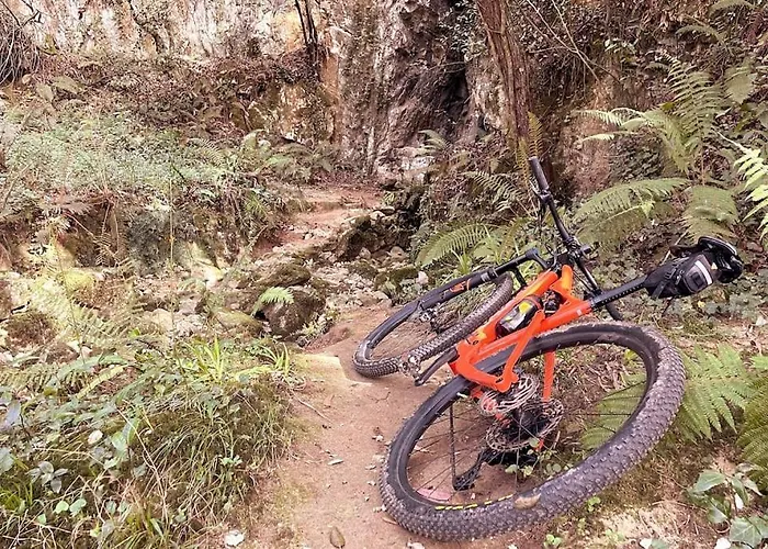 Ozollo Bekoa - Casa Con Piscina En El Corazon De Urdaibai. Gautegiz Arteaga