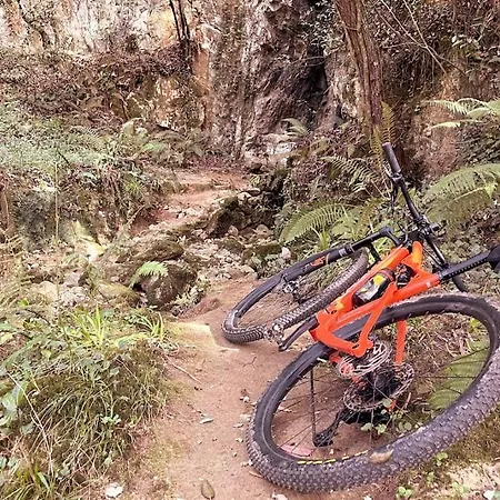 Ozollo Bekoa - Casa Con Piscina En El Corazon De Urdaibai. Gautegiz Arteaga